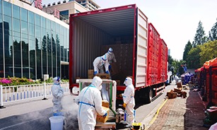 ���ι���|UB8���ι���|�������ý���