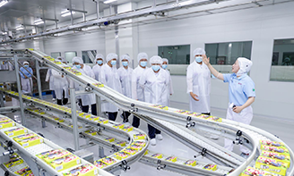 ���ι���|UB8���ι���|�������ý���