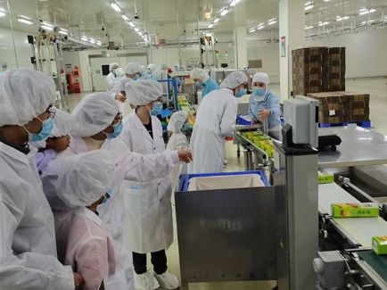 ���ι���|UB8���ι���|�������ý���